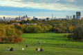 Park in London